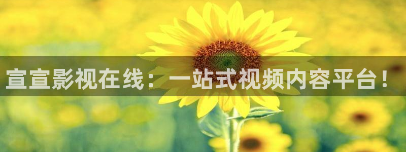 丝瓜丝瓜视频：宣宣影视在线：一站式视频内容平台！