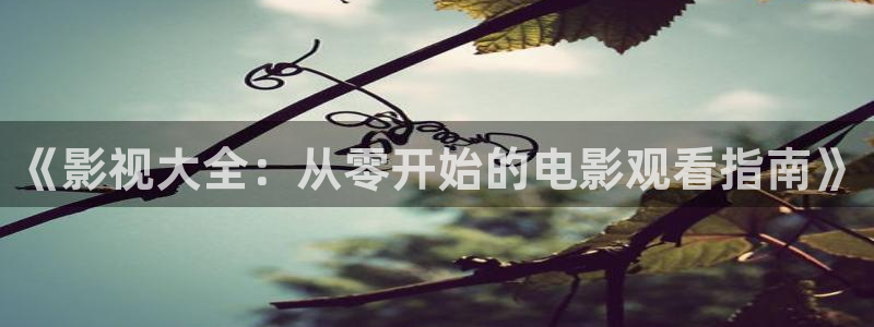 丝瓜影院www：《影视大全：从零开始的电影观看指南》