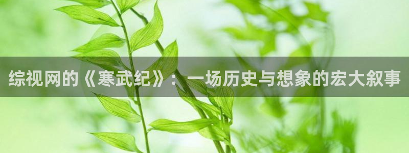 丝瓜免费视频：综视网的《寒武纪》：一场历史与想象的宏大叙事